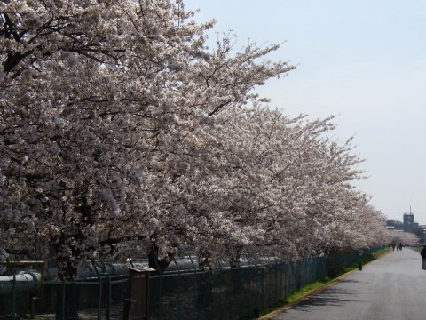 鶴見川