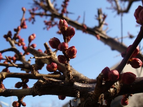 なんと！(ﾟoﾟノ)ノ