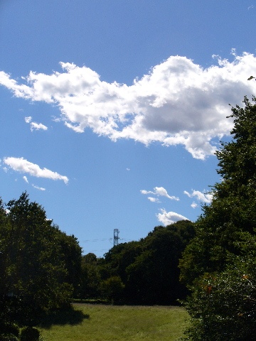 誰か教えて下さい。