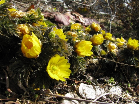 嫁様実家@長野行って来た