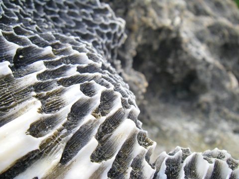 行ってきますた